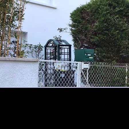 Reves Exotiques Au Bord De L'atlantique